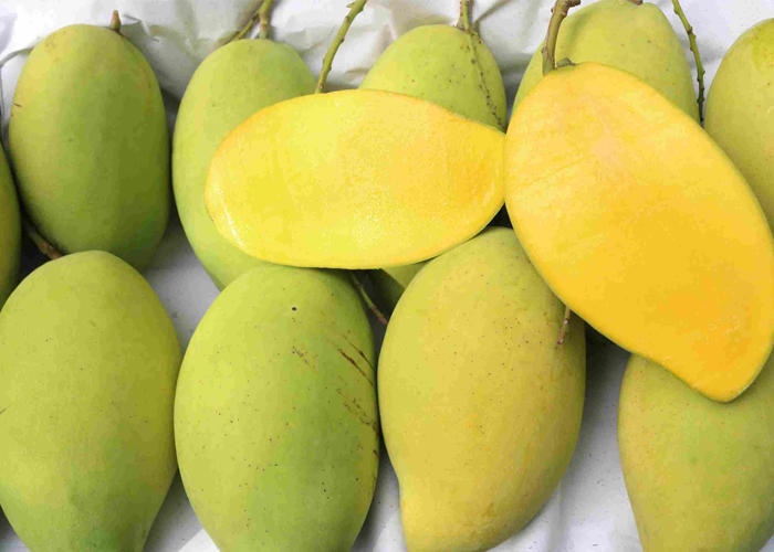 Trái cây gọt sẵn - Xoài tứ quý 3