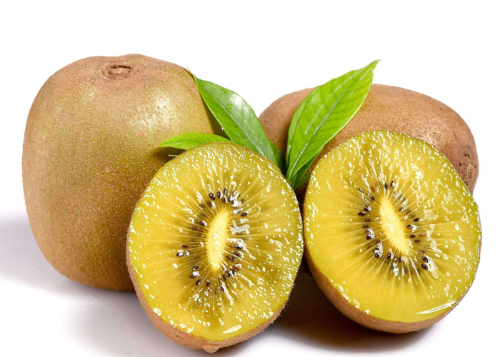 kiwi vàng 2